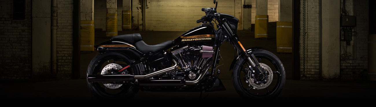 Napoleon Harley-Davidson®
