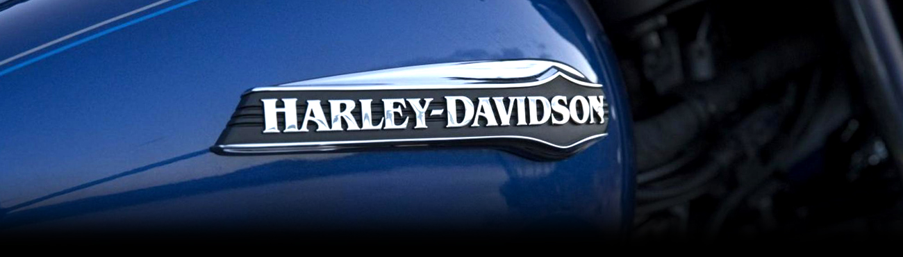 Napoleon Harley-Davidson®