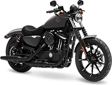 Harley-Davidson® Sportster® For Sale in Napoleon, OH
